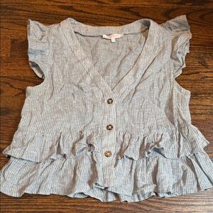 Olivaceous Blue and White Pinstripe Top